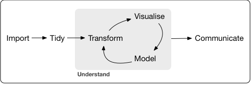 Tidy Workflow in data science